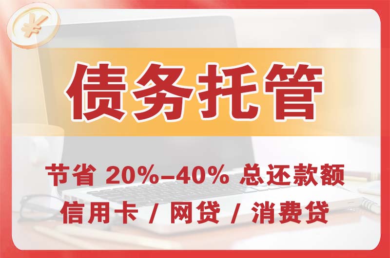 莲湖债务托管