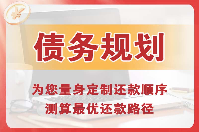 莲湖债务规划